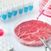 Stop carne sintetica, Mattarella promulga legge ma Italia rispetterà Ue