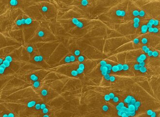 Infezioni da superbatteri costano circa 1 miliardo all’anno, roadmap con 10 priorità