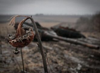 La “guerra sporca”: conflitti militari e distruzione dell’ambiente