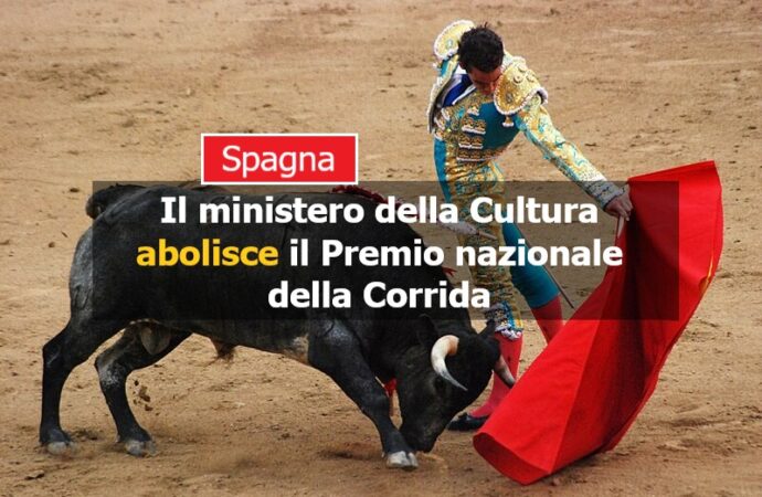 Spagna, il ministero della Cultura abolisce il Premio nazionale della Corrida