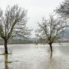 Maltempo in Veneto, allagamenti e frane: attesa la piena del Livenza