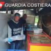 Dai gamberi rossi ai calamari, pesce scaduto nei ristoranti vip di Cortina