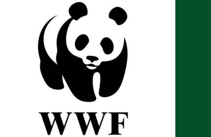 WWF: meno 73 per cento di animali selvatici in 50 anni
