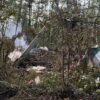 Russia, precipita aereo con 48 persone a bordo “non ci sono superstiti”