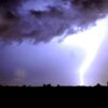 Forte temporale sulla Romagna, allagamenti e alberi caduti