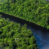 Suriname: preservare il 90% delle foreste contro l’erosione dell’Amazzonia