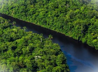 Suriname: preservare il 90% delle foreste contro l’erosione dell’Amazzonia