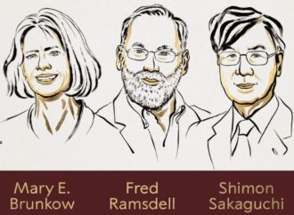 Ramsdell, Sakaguchi e Brunkow vincono il Nobel per la Medicina