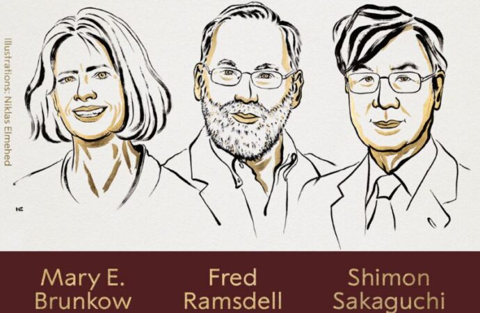 Ramsdell, Sakaguchi e Brunkow vincono il Nobel per la Medicina