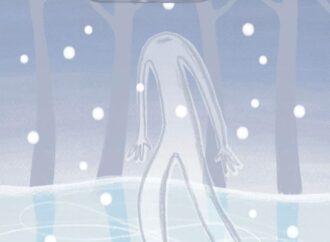 Freezer, il libro surreale che sbrina il ghiaccio dal cuore