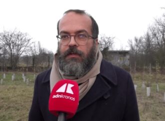 KilometroVerdeParma, più alberi diffusi in città per combattere caldo e cemento