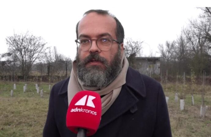 KilometroVerdeParma, più alberi diffusi in città per combattere caldo e cemento